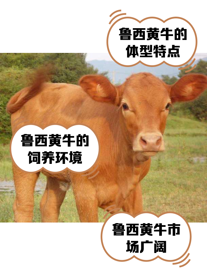 塔城最新医保取现黄牛方法分析(最方便真实的塔城医保取现黄牛怎么取方法)